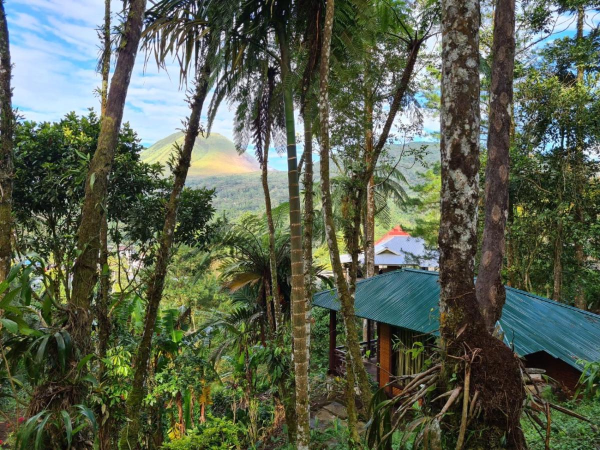 Rimba Eco Resort Tomohon ภายนอก รูปภาพ