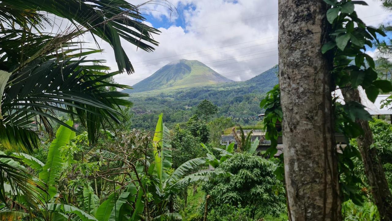 Rimba Eco Resort Tomohon ภายนอก รูปภาพ