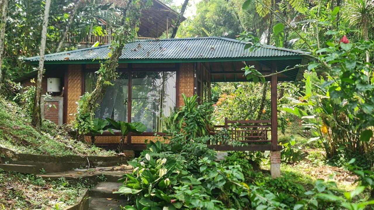 Rimba Eco Resort Tomohon ภายนอก รูปภาพ