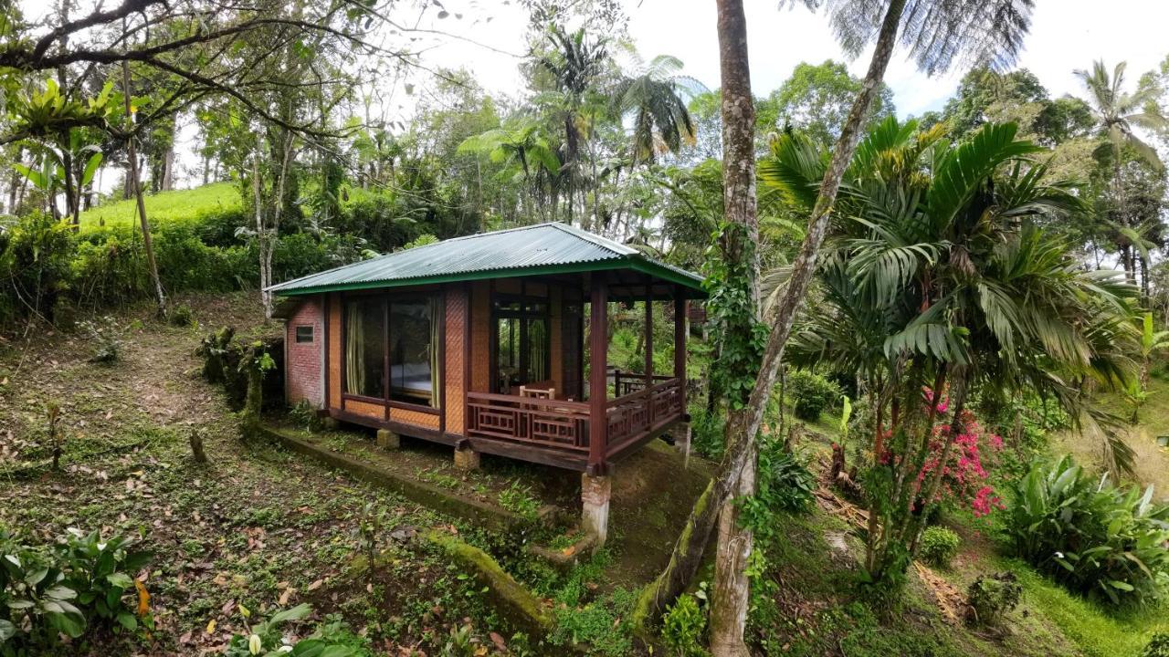 Rimba Eco Resort Tomohon ภายนอก รูปภาพ