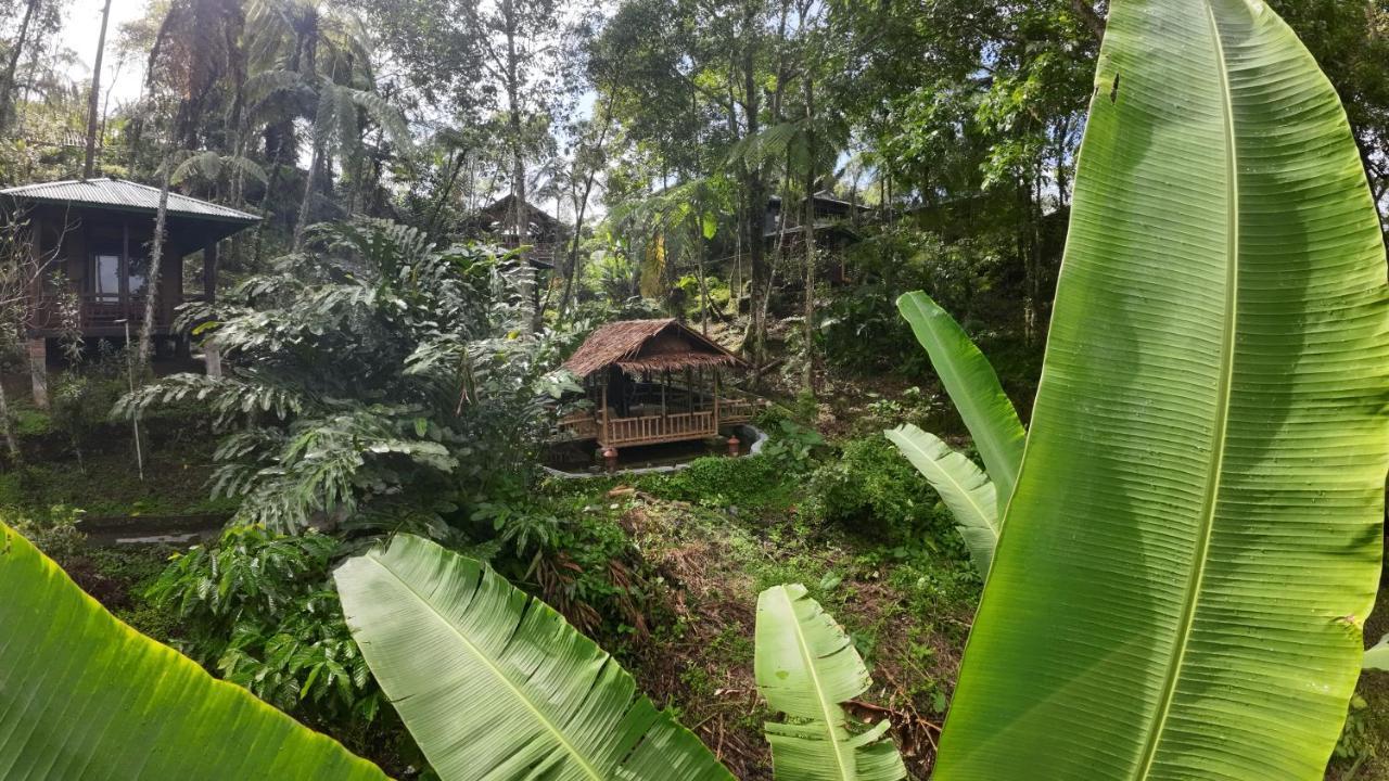 Rimba Eco Resort Tomohon ภายนอก รูปภาพ