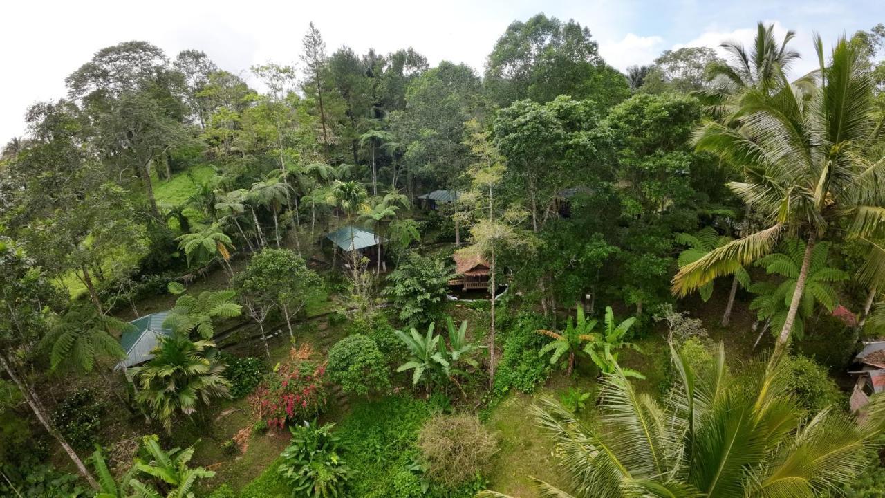 Rimba Eco Resort Tomohon ภายนอก รูปภาพ