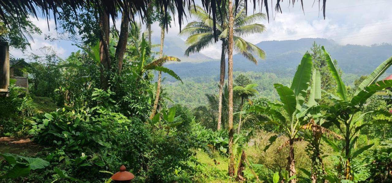 Rimba Eco Resort Tomohon ภายนอก รูปภาพ