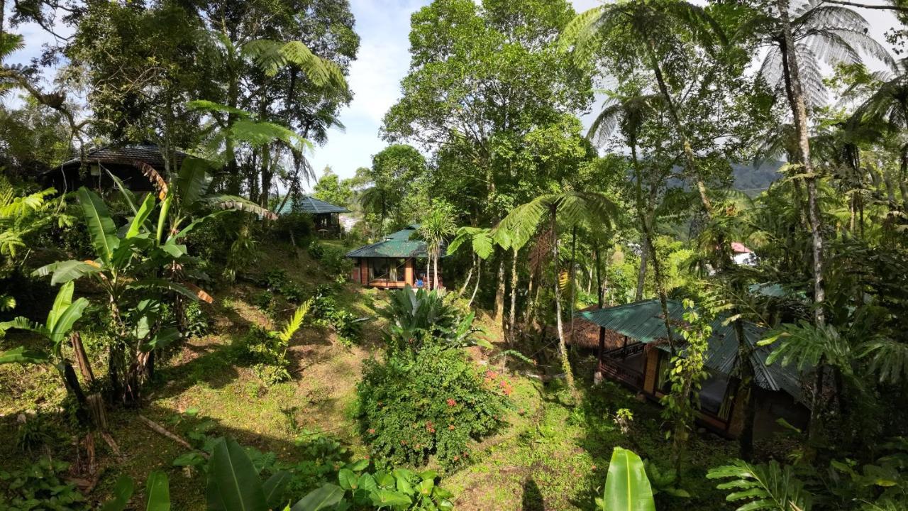 Rimba Eco Resort Tomohon ภายนอก รูปภาพ