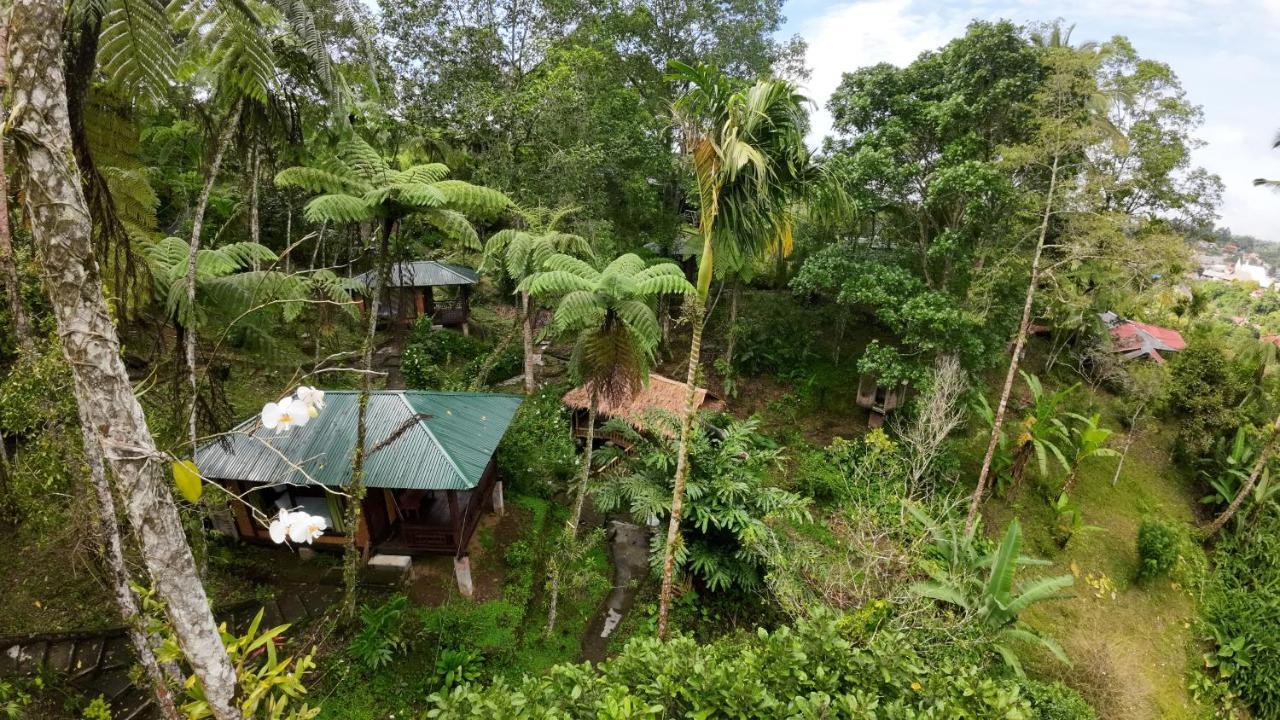 Rimba Eco Resort Tomohon ภายนอก รูปภาพ
