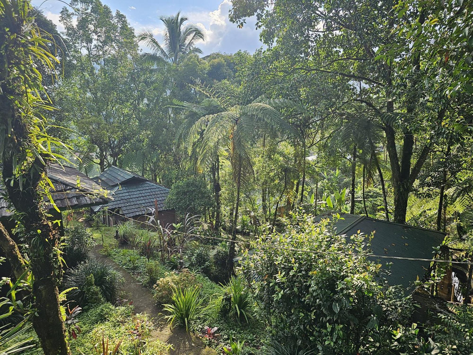 Rimba Eco Resort Tomohon ภายนอก รูปภาพ