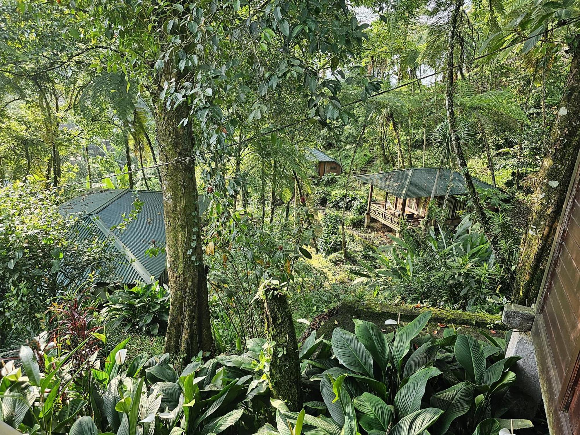 Rimba Eco Resort Tomohon ภายนอก รูปภาพ